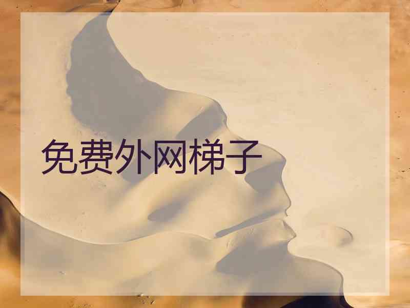 免费外网梯子