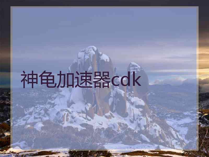 神龟加速器cdk