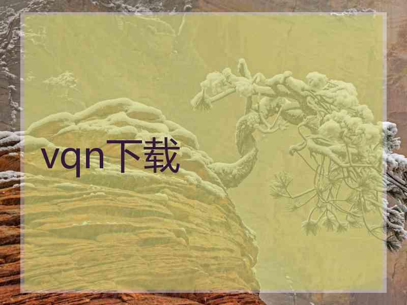 vqn下载