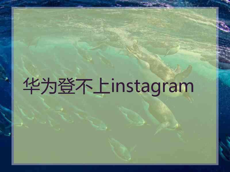 华为登不上instagram