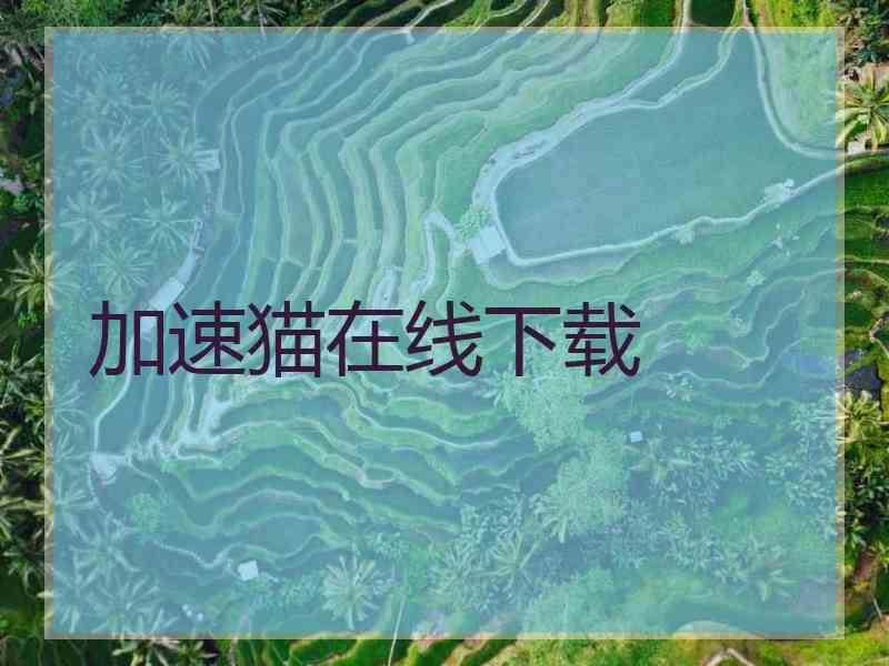 加速猫在线下载