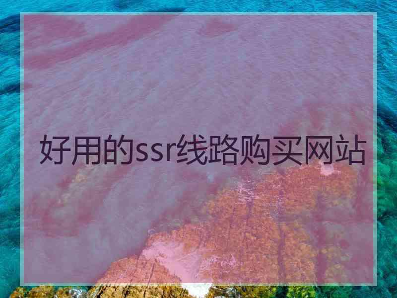 好用的ssr线路购买网站