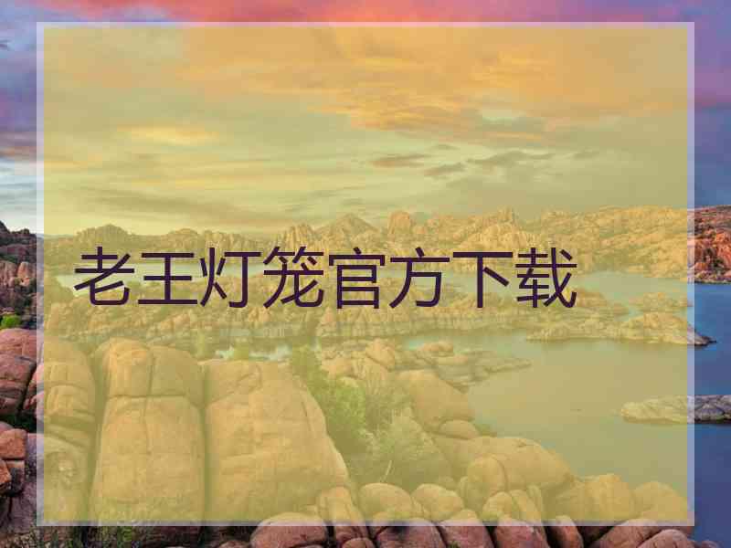 老王灯笼官方下载
