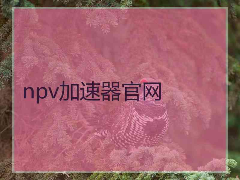 npv加速器官网