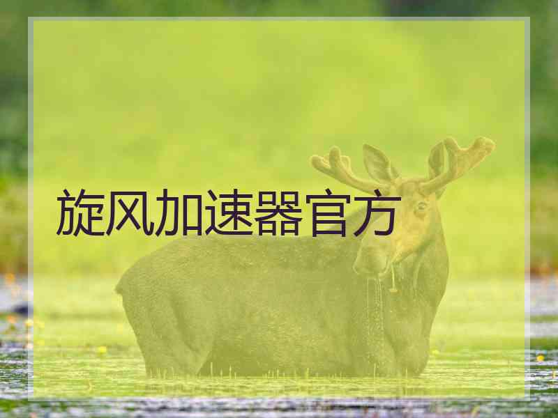 旋风加速器官方