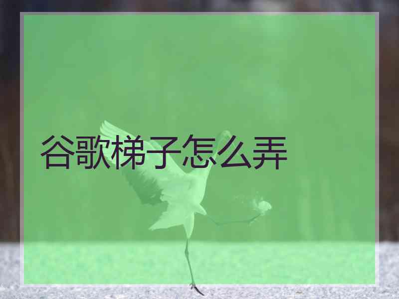 谷歌梯子怎么弄