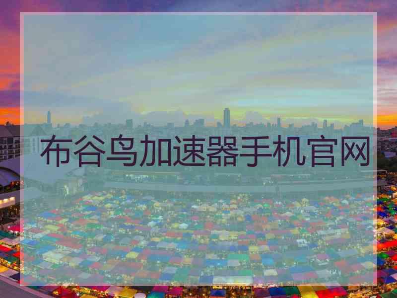 布谷鸟加速器手机官网