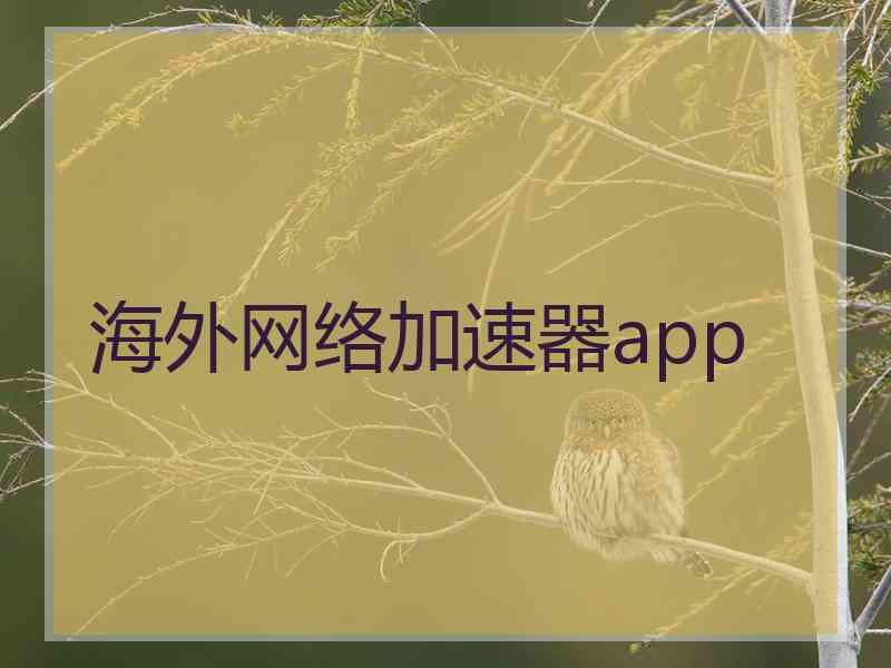海外网络加速器app