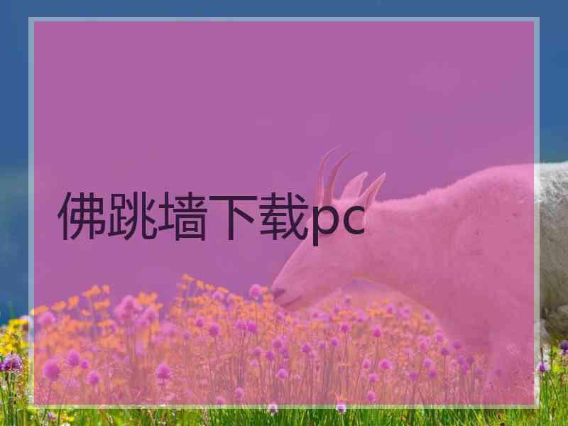 佛跳墙下载pc