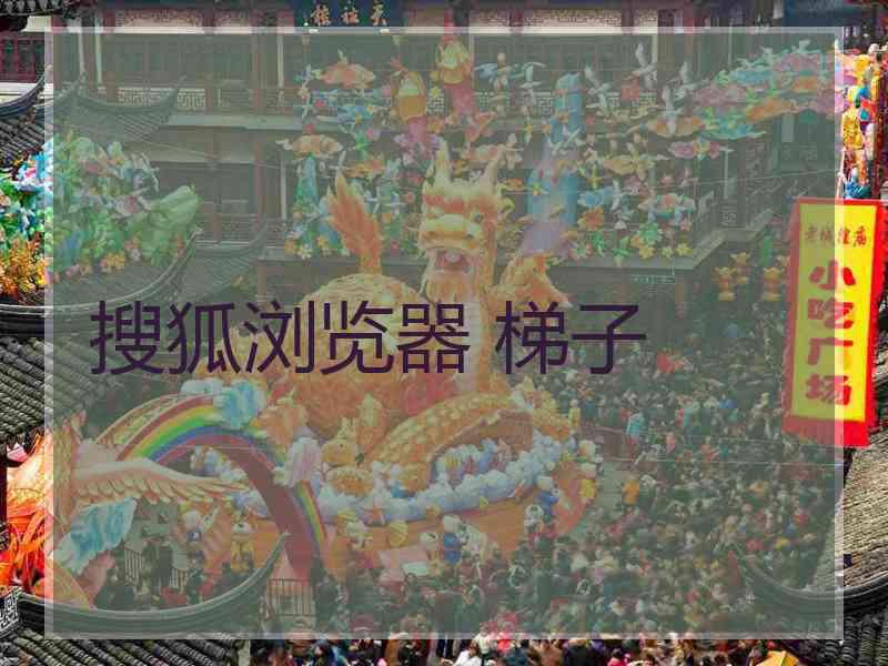 搜狐浏览器 梯子