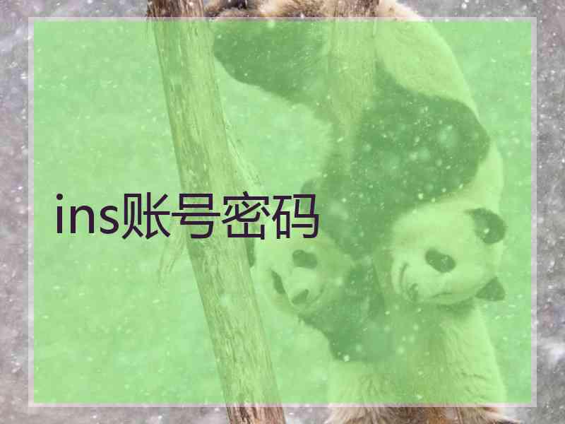 ins账号密码