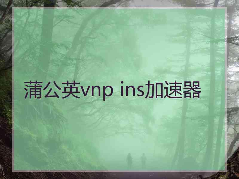 蒲公英vnp ins加速器