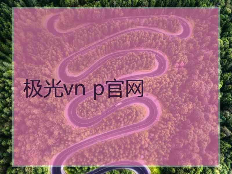 极光vn p官网