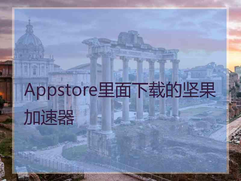 Appstore里面下载的坚果加速器