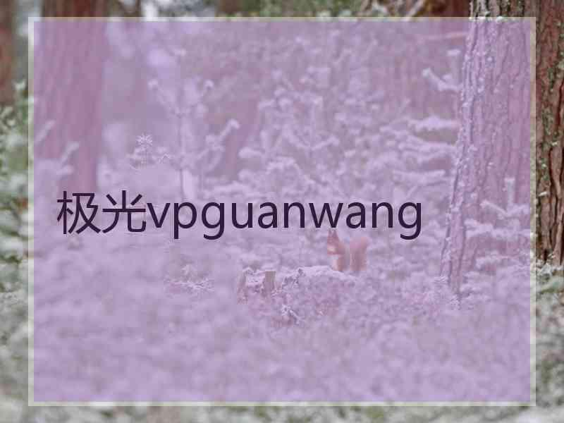 极光vpguanwang