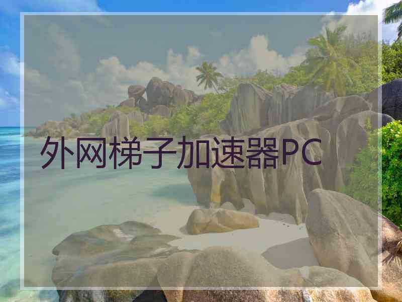 外网梯子加速器PC
