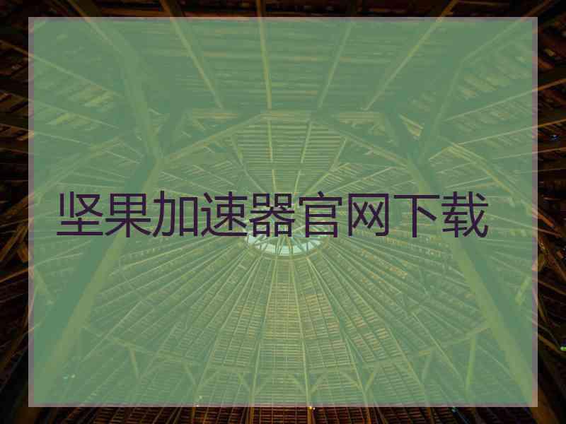 坚果加速器官网下载