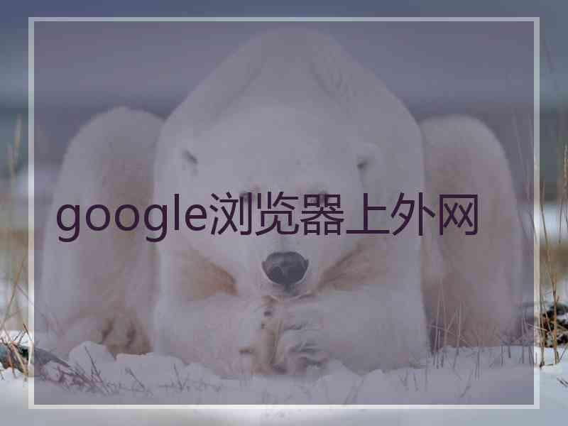 google浏览器上外网