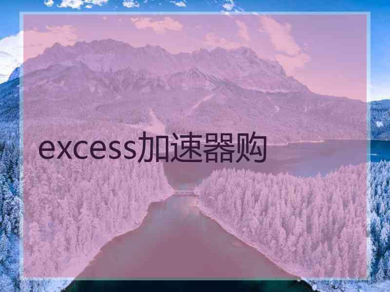 excess加速器购