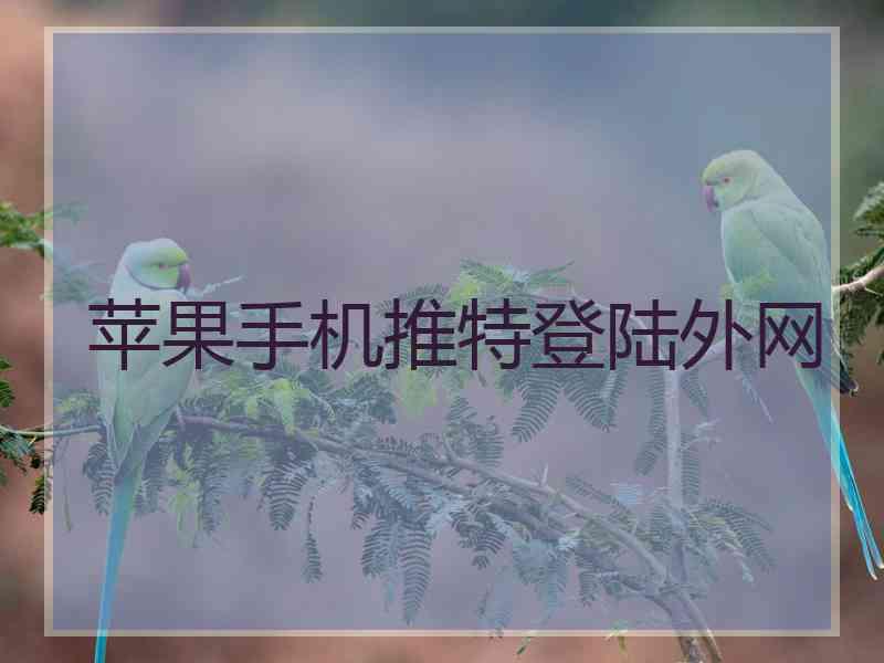 苹果手机推特登陆外网