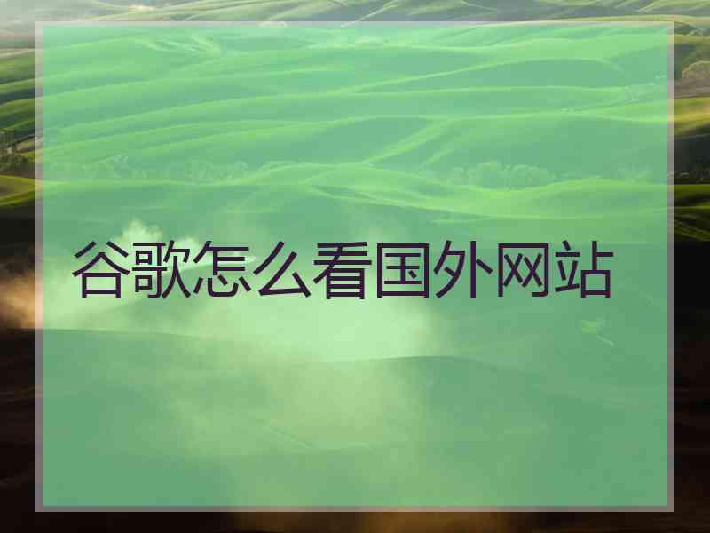 谷歌怎么看国外网站