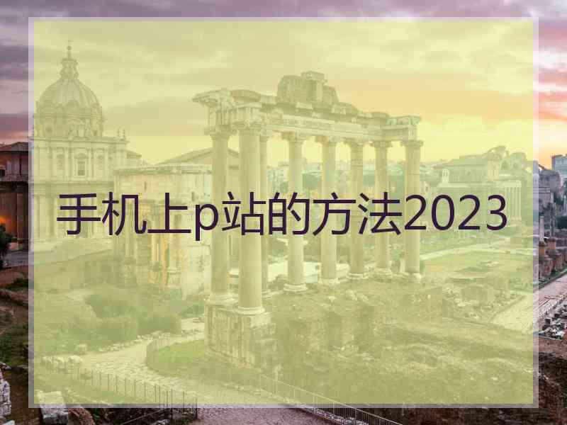 手机上p站的方法2023
