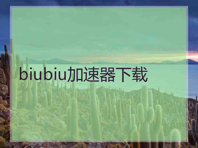 biubiu加速器下载