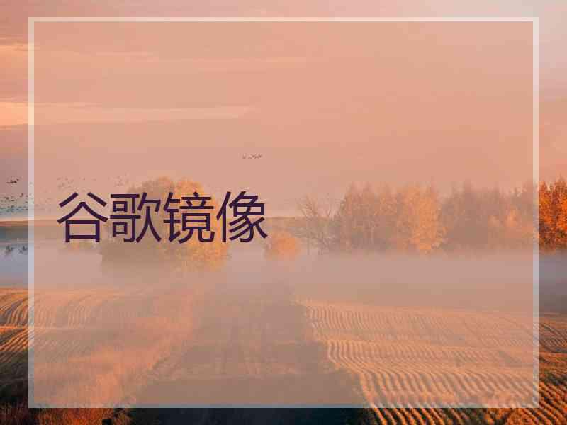 谷歌镜像