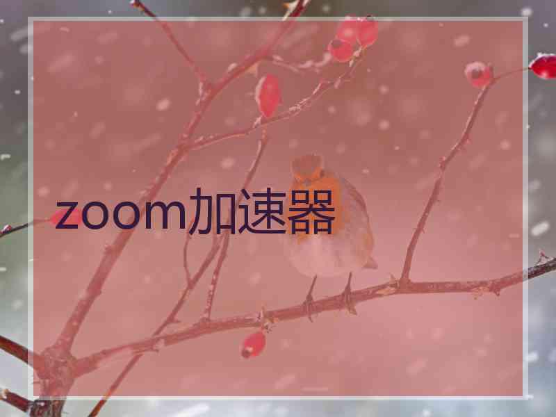 zoom加速器