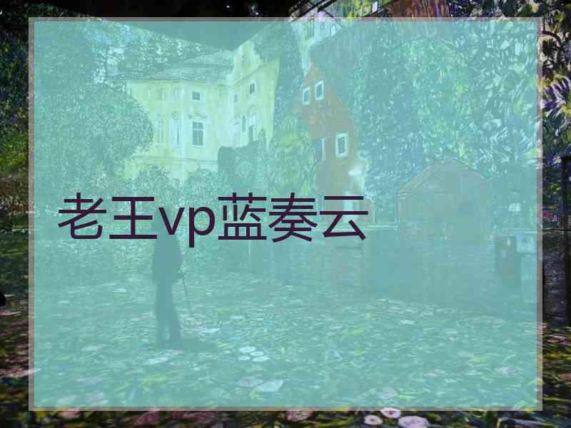 老王vp蓝奏云