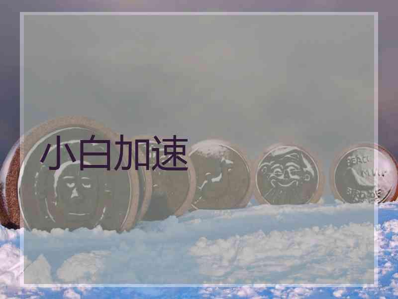 小白加速