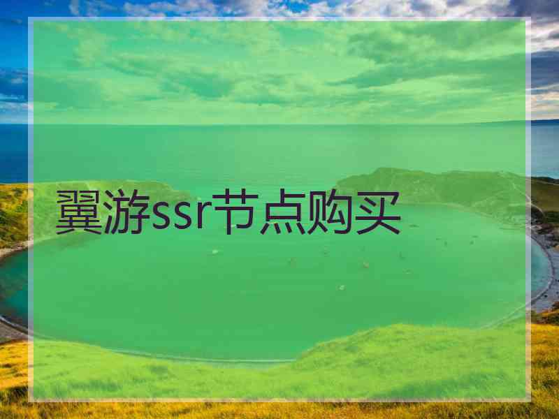 翼游ssr节点购买