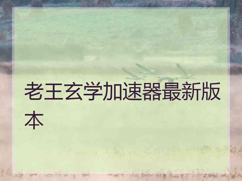 老王玄学加速器最新版本