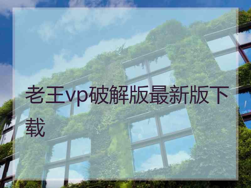 老王vp破解版最新版下载