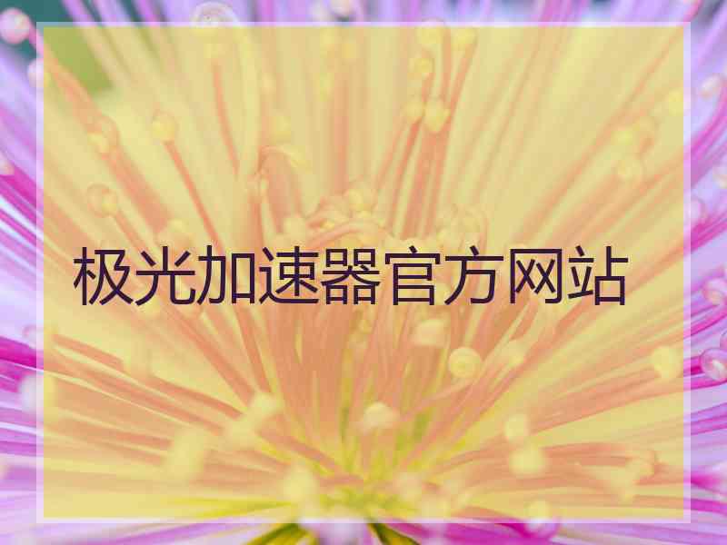 极光加速器官方网站