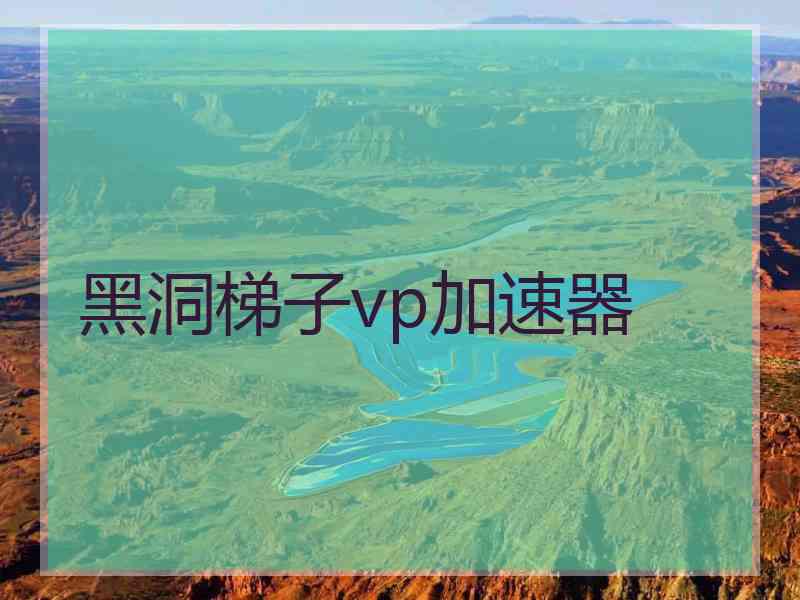 黑洞梯子vp加速器