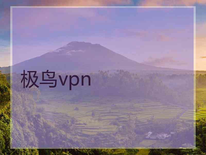 极鸟vpn