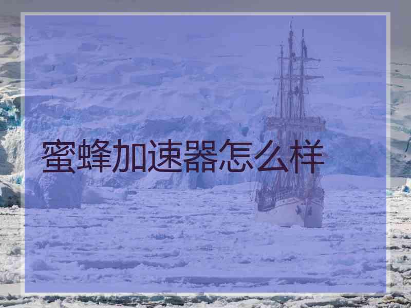 蜜蜂加速器怎么样