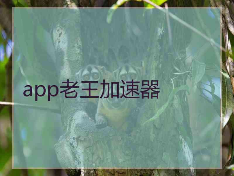 app老王加速器