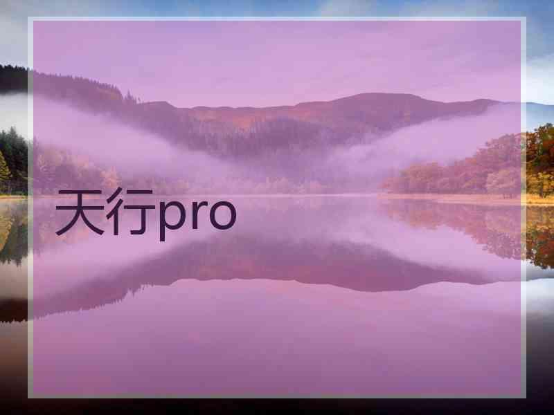 天行pro