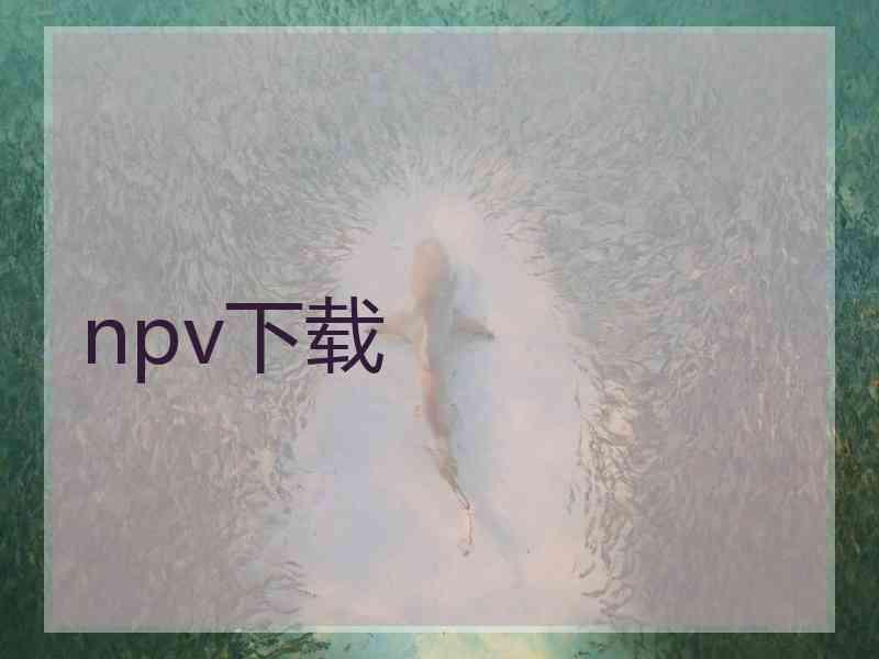 npv下载