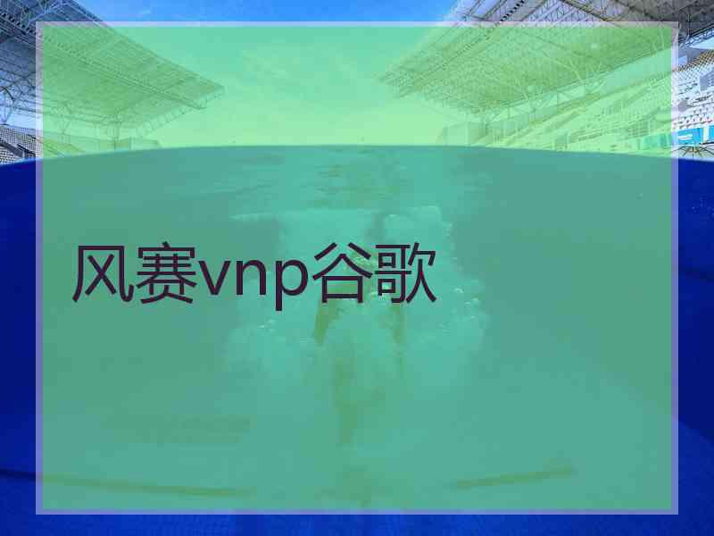 风赛vnp谷歌