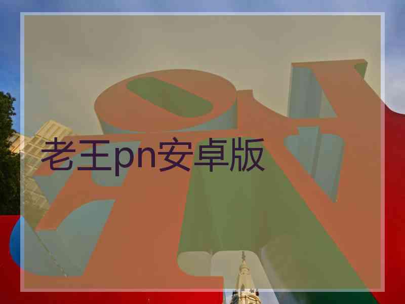 老王pn安卓版