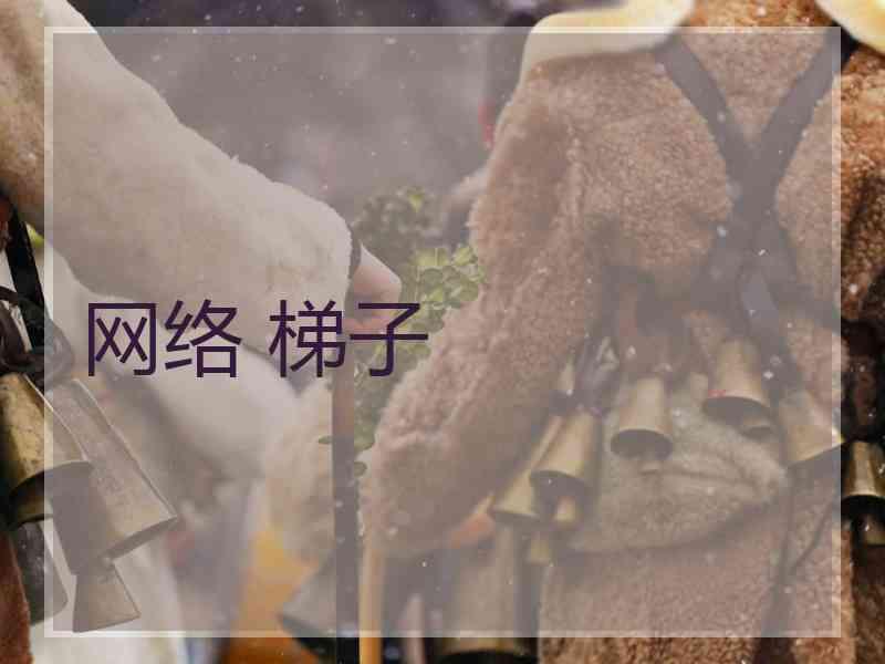 网络 梯子