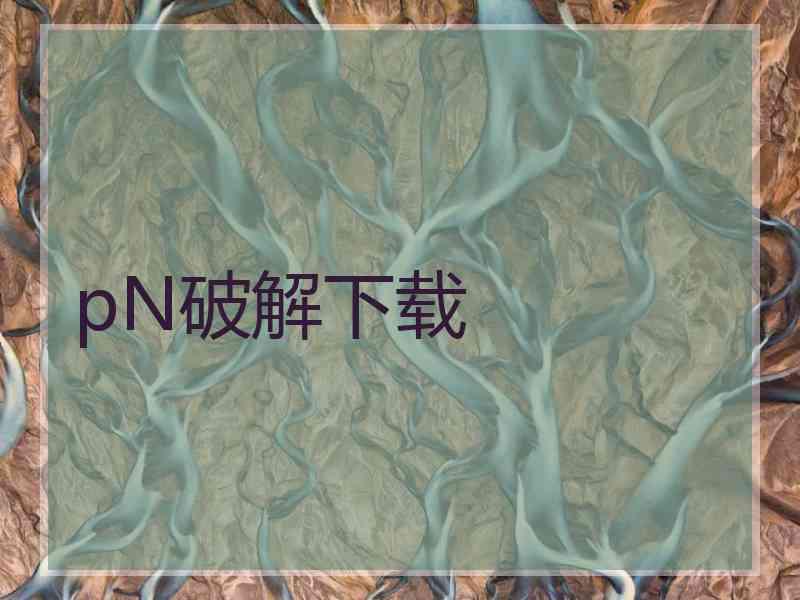 pN破解下载