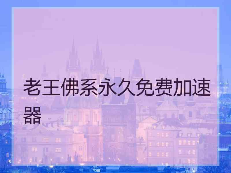 老王佛系永久免费加速器