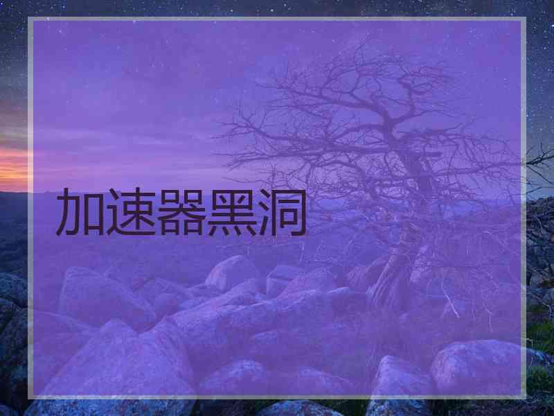 加速器黑洞