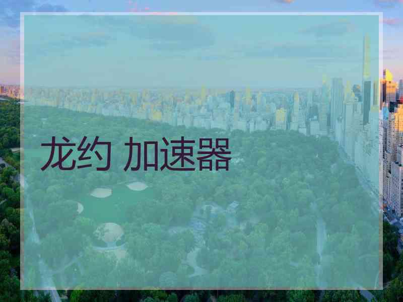 龙约 加速器