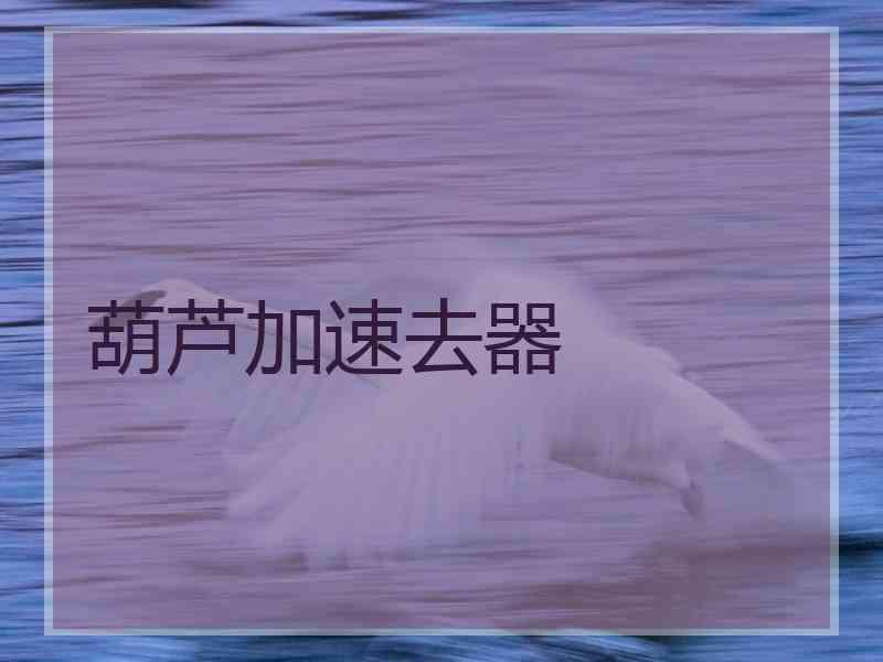 葫芦加速去器