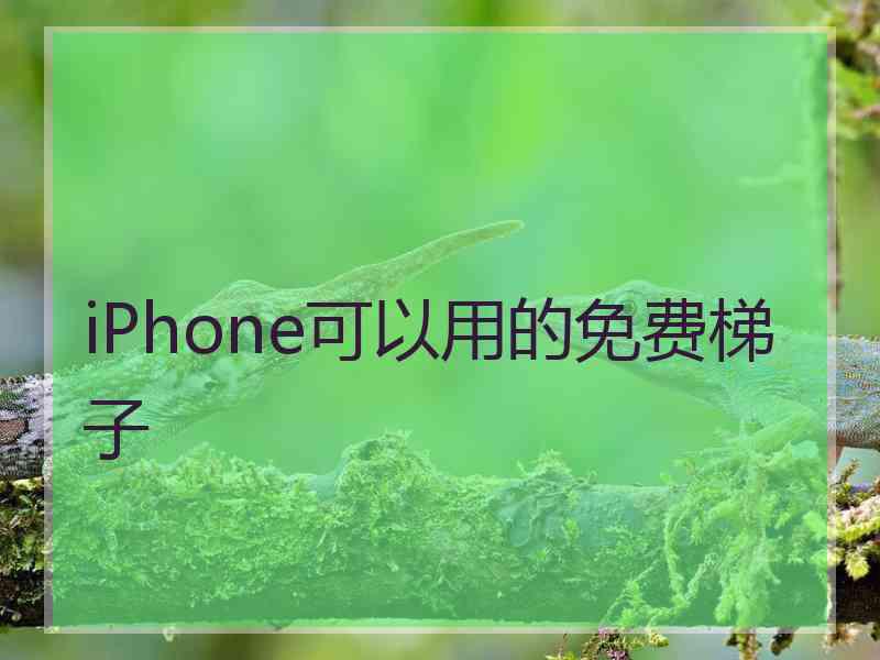 iPhone可以用的免费梯子